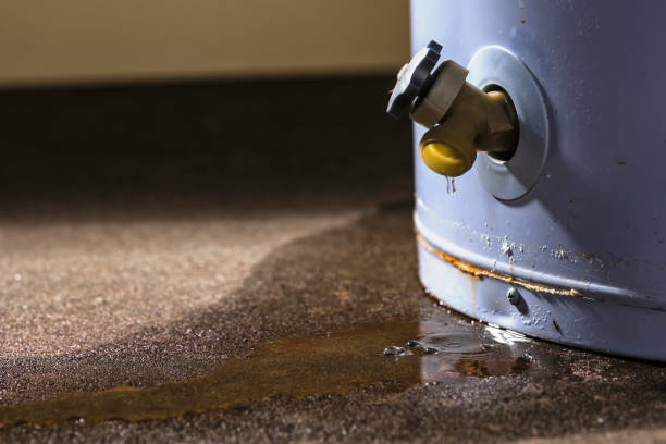 Best Water damage restoration near me  in Quartz Hill, CA
