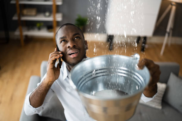  Quartz Hill, CA Water damage restoration Pros