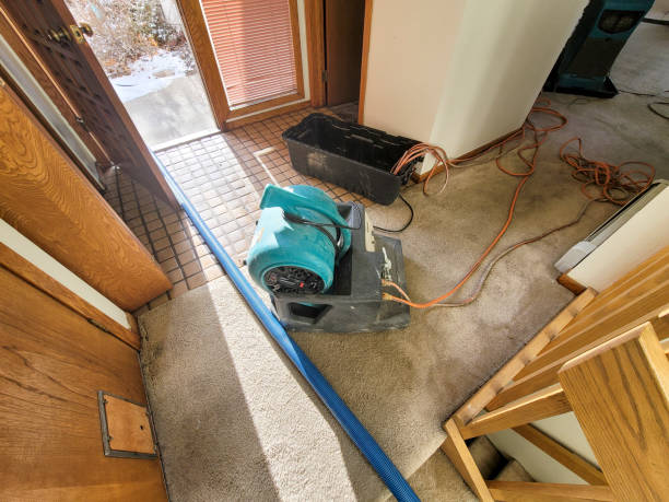 Best 24/7 water damage repair  in Quartz Hill, CA