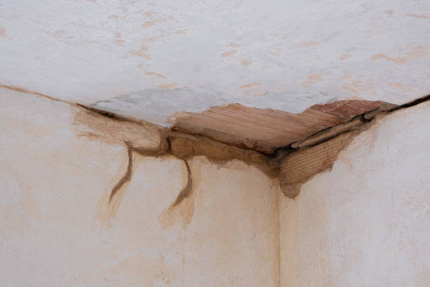Best Flooded house restoration  in Quartz Hill, CA