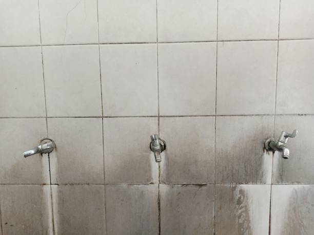 Best Water damage restoration mold remediation  in Quartz Hill, CA