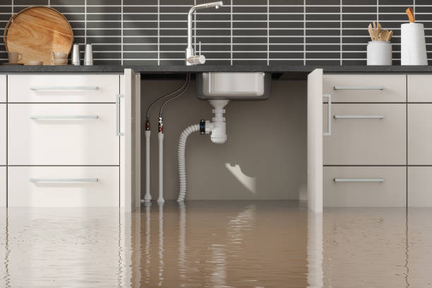Best Mold removal after water damage  in Quartz Hill, CA