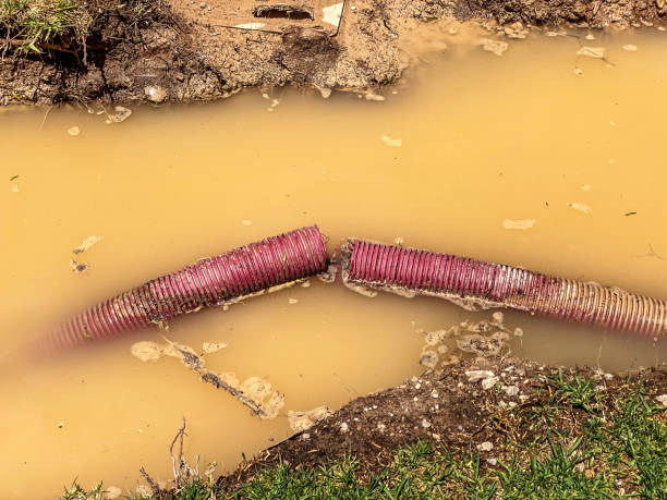 Best Flood restoration services  in Quartz Hill, CA
