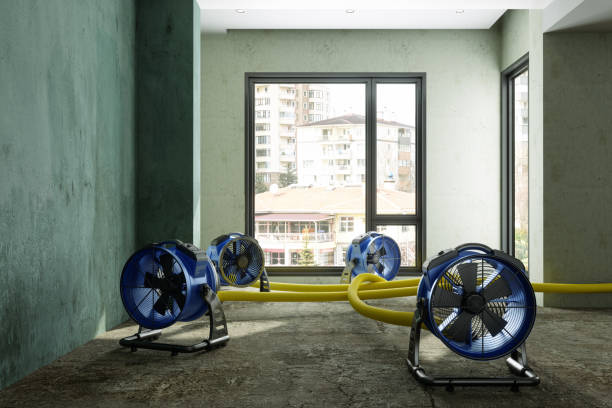Best Fire Damage Restoration  in Quartz Hill, CA